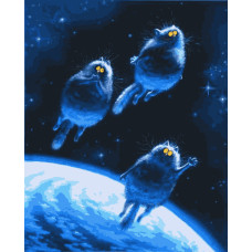 Картини за номерами "К звездам!" 40*50 см (PN3718)