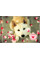 Альбом для малювання А4 20 Yes Скоба З Перфорацією (Д) набір 6 шт (130470)