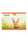 Альбом для малювання А4 20 скоба з перфорацією Orange Line Pets YES (130608)