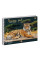 Альбом для рисования А4 30л/100 "WILD ANIMALS" на спирали фольга золото+софт-тач+УФ-выб. Y код: 130454