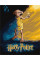 Картина за номерами Harry Potter: Постер з Добі Warner Bros. 40х50 Ідейка (KHO5221)