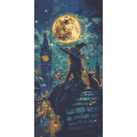 Алмазна мозаїка Юна відьма 40*80 см Орігамі (OD5130)
