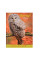 Блокнот 140*185/96 ЛИН. интег. Wild force YES код: 151483