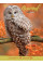 Блокнот 140*185/96 ЛИН. интег. Wild force YES код: 151483