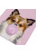 Блокнот А6 64 клітка YES тверда обкладинка Elegant Dog (151607)