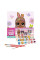 Картина за номерами L.O.L. Surprise! Spring Bling BossBunny 40х40 Ідейка (KHO1103)
