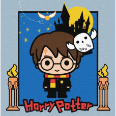 Картина за номерами Harry Potter: Таємниці замку Warner Bros. 25х25 Ідейка (KHO1367)