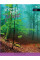 Тетрадь А4 96 Square Forest Path YES (891371)