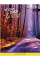 Тетрадь А4 96 Square Forest Path YES (891371)