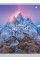 Тетрадь А4 96 Square Little Adventure YES (891369)