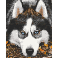 Картина за номерами Засмучений хаскі 40х50 см АРТ-КРАФТ (11509-AC)