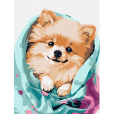 Картина по номерам Счастливый шпиц art_selena_ua 30х40 Идейка (KHO6545)