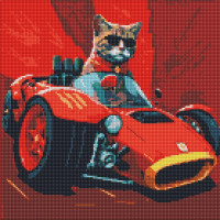 Алмазна мозаїка Життя кота на швидкості 40х40 (AMO7560)