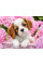 Алмазная мозаика Милый друг 30*40см Santi (954075)