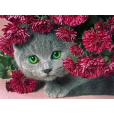 Алмазна мозаїка Смарагдовий погляд серед хризантем 40*50см Dreamtoys (S40094)