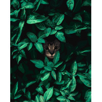 Картина по номерам Скрытный кот 40*50 см Origami (LW3046)