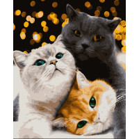 Картини за номерами "Котики-муркотики" 50*60 см (PNХ4200)