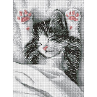 Алмазна мозаїка Муркотливий ранок art_selena_ua 30х40 Ідейка (AMO20204)