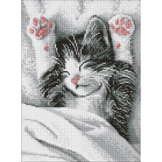 Алмазна мозаїка Муркотливий ранок art_selena_ua 30х40 Ідейка (AMO20204)