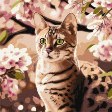Картина за номерами Кошеня в саду art_selena_ua Идейка 40х40 (KHO6513)