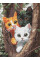 Алмазна мозаїка Котики на дереві art_selena_ua 30х40 Ідейка (AMO8299)