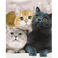 Картини за номерами "Котейки" 50*60 см (PNХ4203)