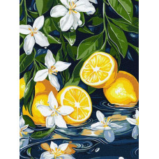 Картина за номерами Лимон у розрізі art_selena_ua 30х40 Ідейка (KHO5733)