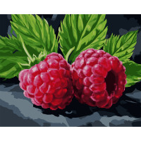 Картина за номерами з алмазною мозаїкою Соковита малина 40*50 см. Santi (954873)