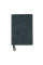 Ежедневник А5 Leo Planner датированный 2025 Case темный изумруд 368 стр (252520)