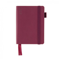 Ежедневник А6 Leo Planner датированный 2025 Binario винный 352 стр (252551)