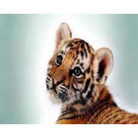 Алмазная мозаика Тигренок 30*40см с рамкой (Y0012)