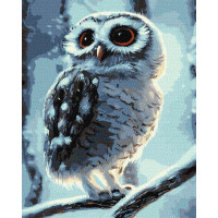 Картина по номерам Чудо-сова ©Neag Mircea Marius 40х50 Идейка (KHO4458)