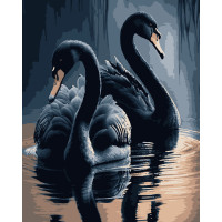 Картини за номерами "Чорні лебеді" 40*50 см (PN0745)