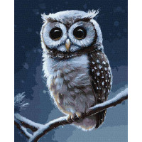 Картина по номерам Лесная совушка ©Neag Mircea Marius 40х50 Идейка (KHO4457)