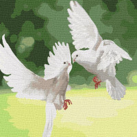 Картина за номерами Білосніжні голуби 40х40 Ідейка (KHO4149)