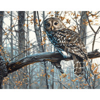Картина по номерам Животные Зимняя сова 40*50 см Оригами (LW3265)