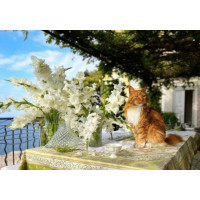 Алмазная мозаика Рыжий красавец возле гладиолусов 30*40см с рамкой (Y0078)