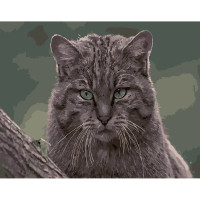 Картина за номерами Дика кішка 40х50 см Strateg (DY177)