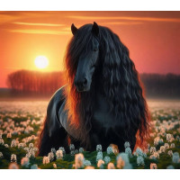 Алмазна мозаїка Чорний кінь на заході без підрамника, 30*40см, ТМ Dreamtoys (S30008)