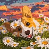 Картина за номерами Коргі в ромашках art_selena_ua 40х40 Ідейка (KHO6798)