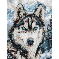 Картина за номерами Очі півночі art_selena_ua 30х40 Ідейка (KHO6842)