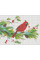 Алмазная мозаика Красный кардинал 30*40см Santi (954130)