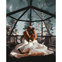 Картина за номерами Пара під нічним небом 18+ 40*50 см Оригамі (LW3169)