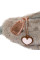Сумка на пояс Yes Pusheen Toy SP-38 для дівчини (550597)
