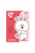 Папка-органайзер YES А4 з клапаном на липучці Line Friends. Cony (492104)