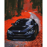 Картини за номерами "BMW" 40*50 см (PN9652)