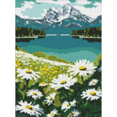Алмазна мозаїка Квітучі ромашки art_selena_ua 30х40 Ідейка (AMO7803)