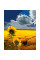 Набір, картина за номерами Соняшник у полі, 40*50 см, SANTI (954269)