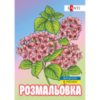 Раскраска антистресс Флористика 12 стр Santi (743058)
