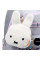 Гаманець Yes Miffy Toy W-4 (533860)